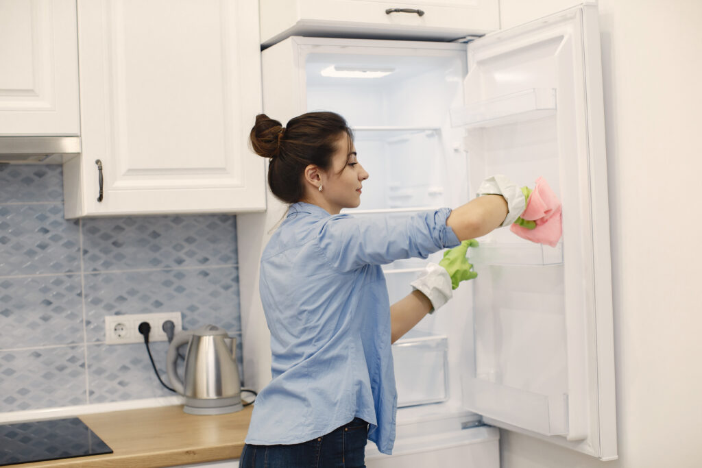 Refrigerator Cleaning Services