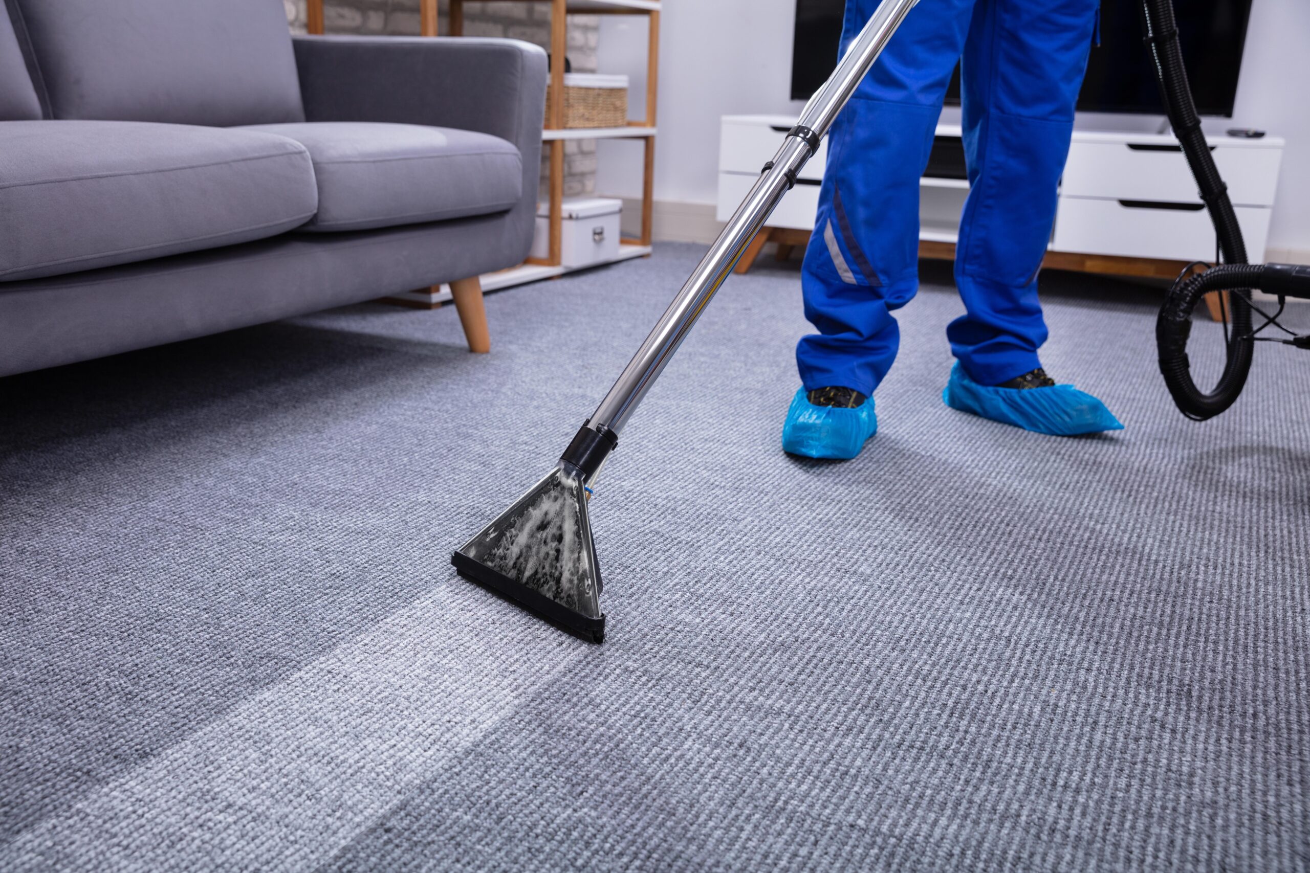 Local Carpet Cleaning services